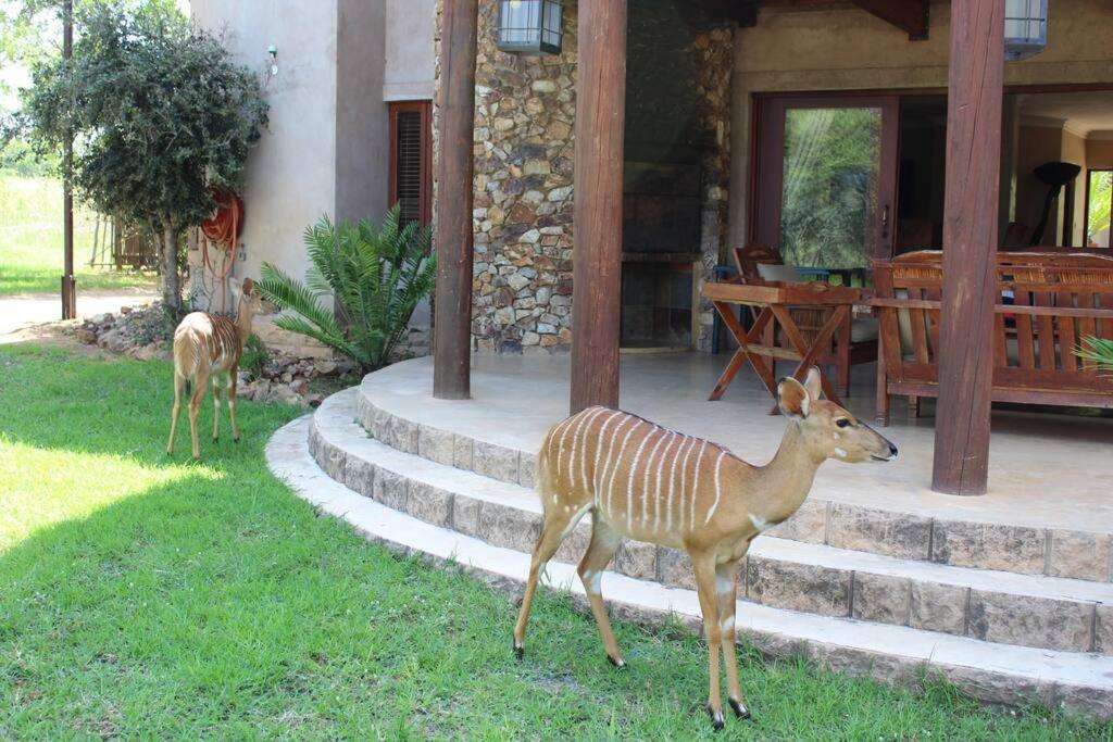 Zebula 132 Villa Mabula Game Reserve